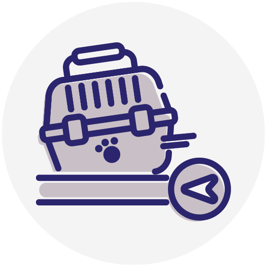 MASA-Icons-v4_Circles_Pet-Return-Transportation-Coverage